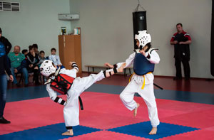Taekwondo Kicks Raunds Area